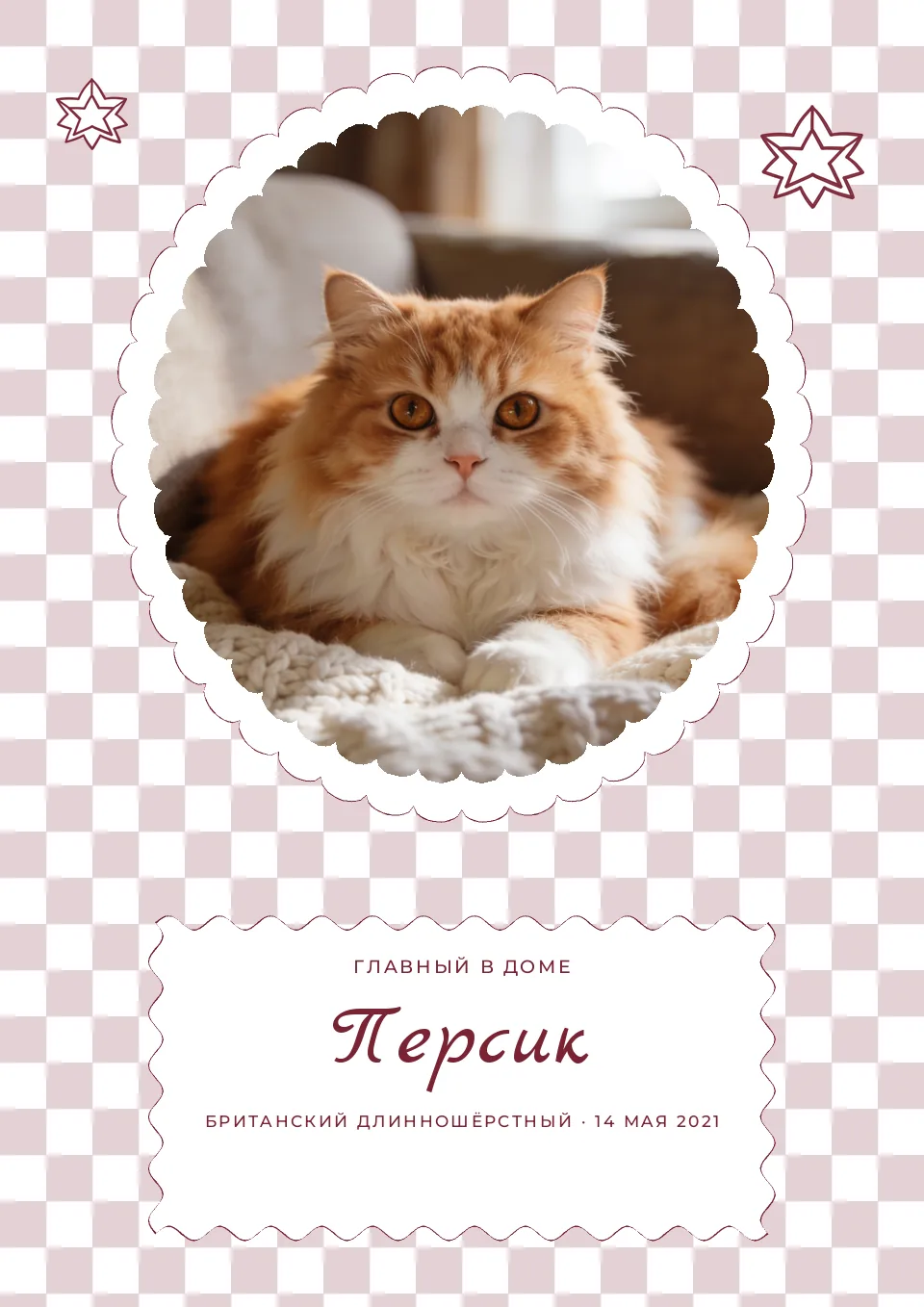 Макет постера «Котик в рамке»