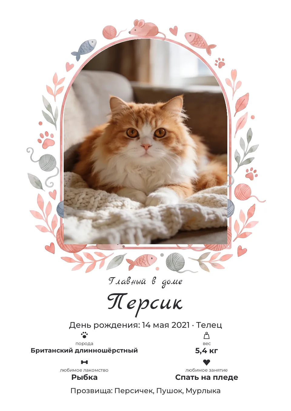 Макет постера «Метрика котика»